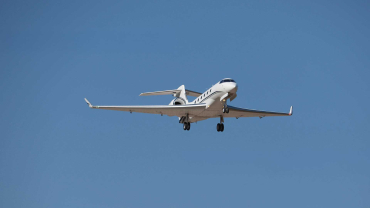 Freewing PJ50 Private Jet mit Gyro EPO 1700mm PNP