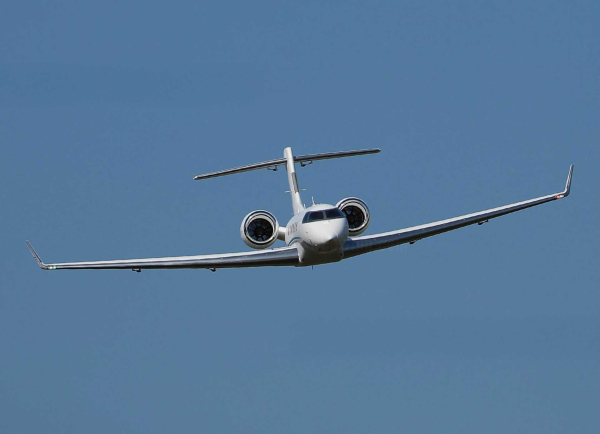 Freewing PJ50 Private Jet mit Gyro EPO 1700mm PNP