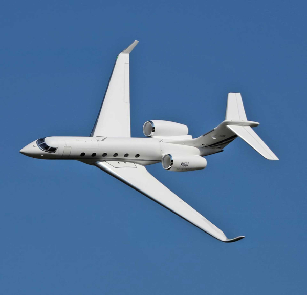 Freewing PJ50 Private Jet mit Gyro EPO 1700mm PNP